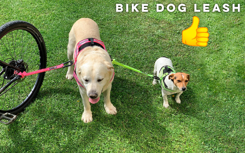 BIKE AND DOG - Dog Leash and Harness for Bicycle, Harness with 3 Rings, 2 are Sides, Includes 2 Special Cable Ties for Bicycle. Patented. (Fluorescent Pink, Leash) Fluorescent Pink - PawsPlanet Australia