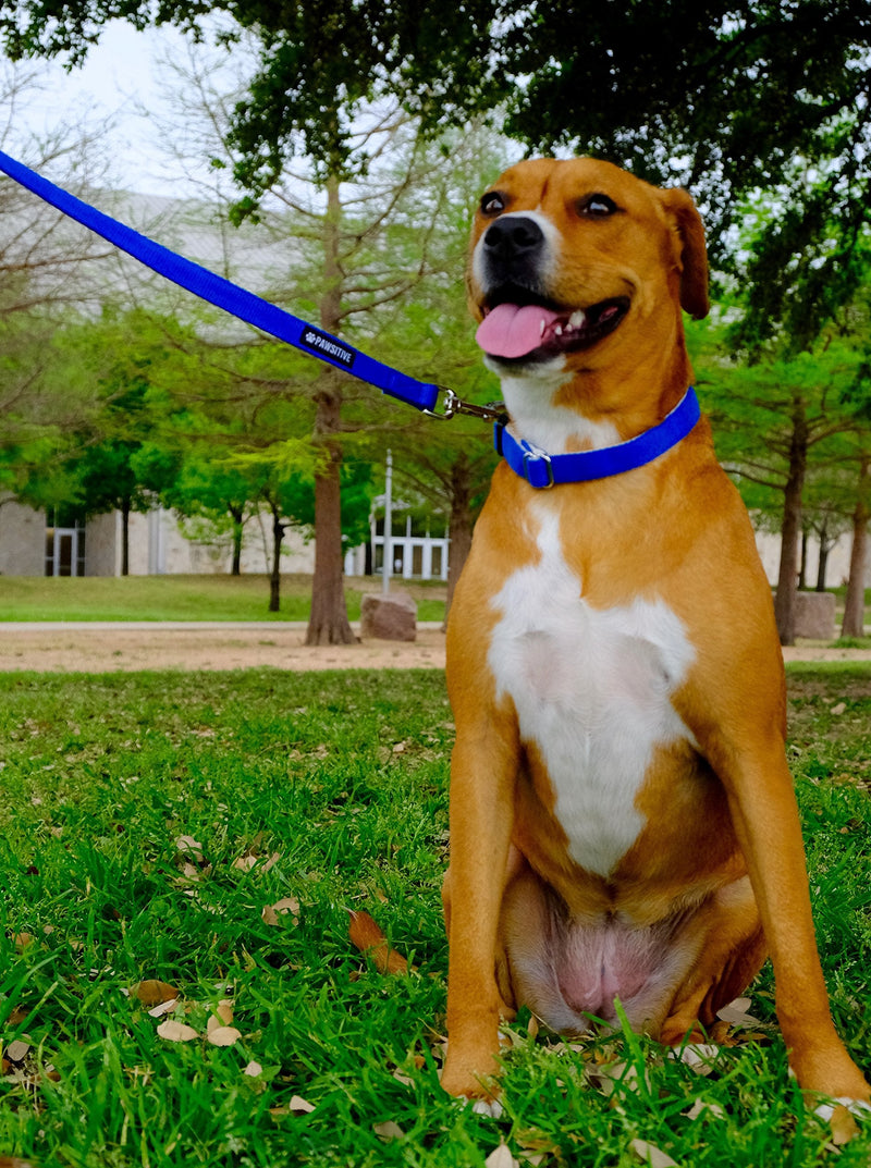 100% Hemp Leash - We Donate a Leash to a Dog Rescue for Every Leash Sold, 5ft Long - Blue - PawsPlanet Australia