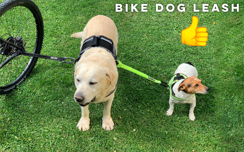 BIKE AND DOG - Dog Leash and Harness for Bicycle, Harness with 3 Rings, 2 are Sides, Includes 2 Special Cable Ties for Bicycle. Patented. (Black, Leash) Black Leash Only (No Harness) - PawsPlanet Australia