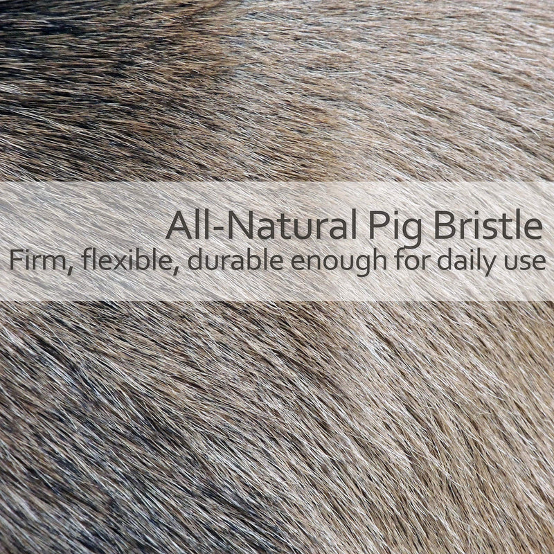 Redecker Natural Pig Bristle Cat Brush with Varnished Beechwood Handle, 7-1/4-Inches