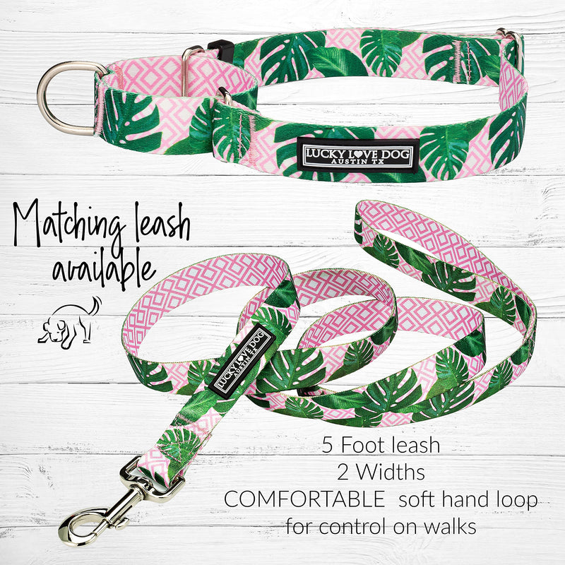 Lucky Love Dog Martingale Dog Collar - Adjustable, No-Slip, Comfortable, Durable, Soft Webbing & Stylish Patterned Collar for Male and Female Dogs Ideal for Training & Walking - Laguna, Medium Medium Collars (13-21") - PawsPlanet Australia