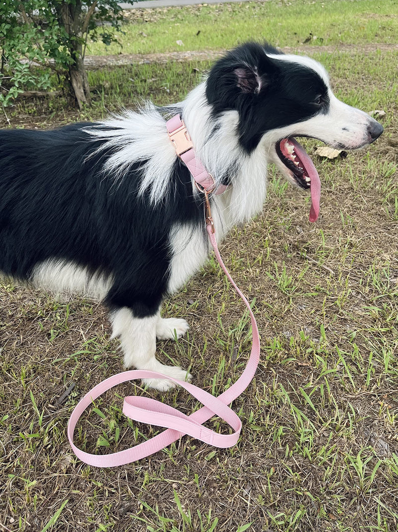 Dog Collar and Leash Set.Soft and Easy to Clean Vegan Leather with Rose Gold Metal Buckle for Small Medium Large Dogs (Pink, L(15.4”-24.8“) Pink L(15.4"-24.8"）