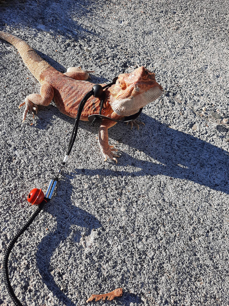 Bearded Dragon Harness and Leash Adjustable(S,M,L, 3 Pack) -Iguana Leash and Harness，Lizard Leash Bearded Dragon，Lizard Walking Rope，Bearded Dragon Leash，Reptile Leash and Harness for Small Lizar