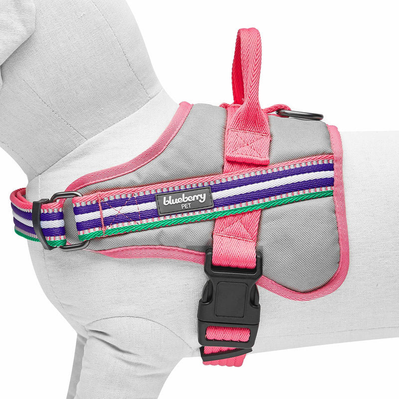 Blueberry Pet Pink Dog Harness - Award Winning Medium Sized No Pull Dog Harness with Handle, Reflective Vest for Safety-Conscious Urban & Outdoor Enthusiasts, 3M Night Visibility Emerald,Orchid and Pink - PawsPlanet Australia