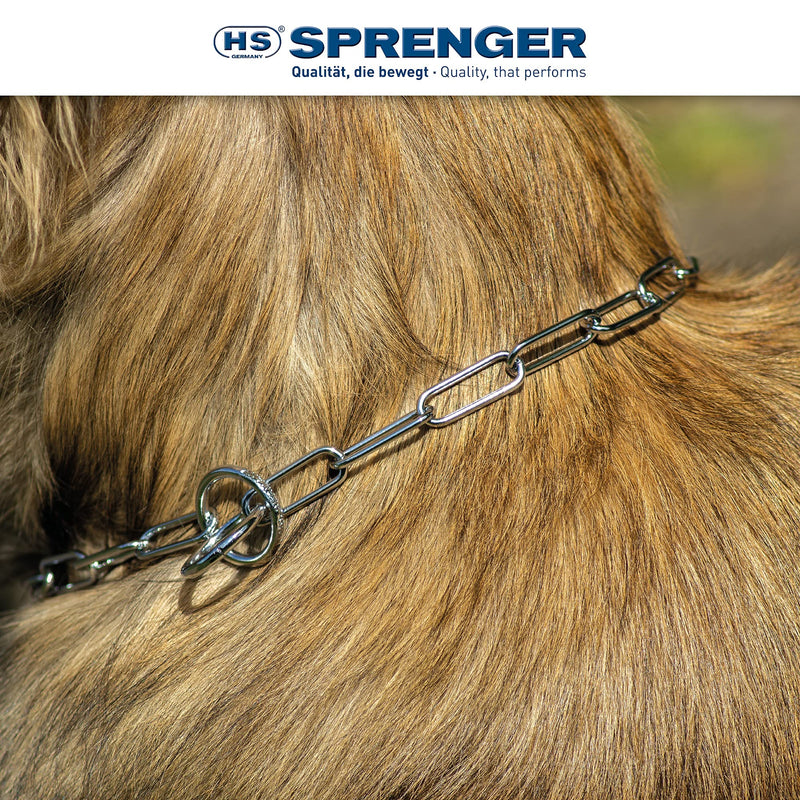 Herm Sprenger - Chrome Plated Steel Fur Saver Dog Collar - Long Link - Professional Training Collar for Small Petite Dogs - Puppy Collar - Correction Slip Chain - Made in Germany (14 inches (35 cm)) 14 inches (35 cm) - PawsPlanet Australia