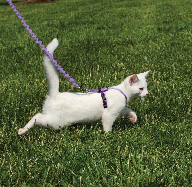 PetSafe Come with Me Kitty Cat Harness & Bungee Leash - Comfortable No-Choke Harness with Lightweight Bungee Leash for Outdoor Fun - Escape Free Pulling Prevention - Large - Lilac Large (Pack of 1) - PawsPlanet Australia
