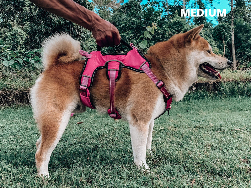 Tuff Pupper Updated for 2024 - Tracker No Escape Dog Harness | Dual Escape Proof Leash Attachments | 5 Point Adjustable Fit Harness for Dogs | Padded Dog Harness for Comfort | Handle Dog Lift Harness Medium (Neck: 18-21" , Chest: 21-28") Hot Pink - PawsPlanet Australia
