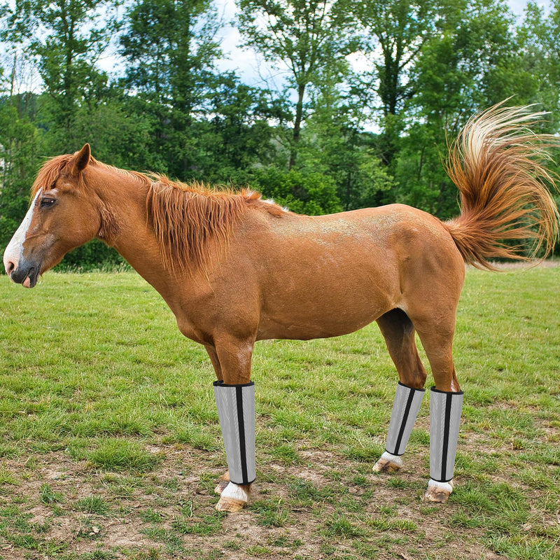 Mesh Horse Fly Boots - 4PCS Loose Fitting Horse Flyproof Boot, Protective Breathable Leg Wrap Leggings, Reduces Stress Leg Fatigue Equine Protection for Preventing Flies Mosquitoes Bites (Grey) Grey - PawsPlanet Australia