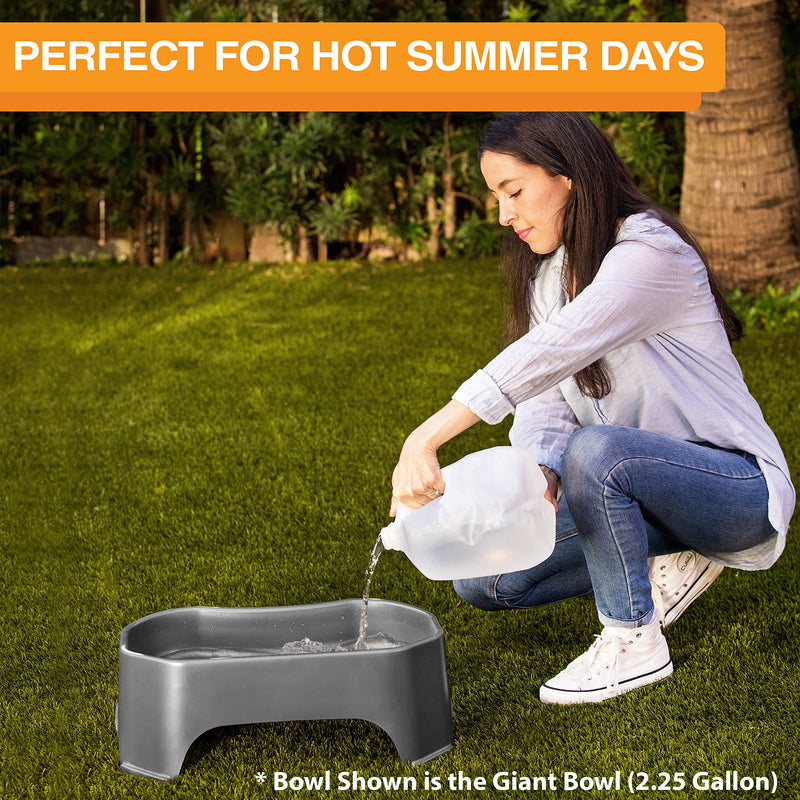 Neater Pet Brands Big Bowl - Extra Large Water Bowl for Dogs (1.25 Gallon Capacity, 160 oz) - Huge Over Size Pet Bowl - Gunmetal Grey 1.25 Gallons - PawsPlanet Australia
