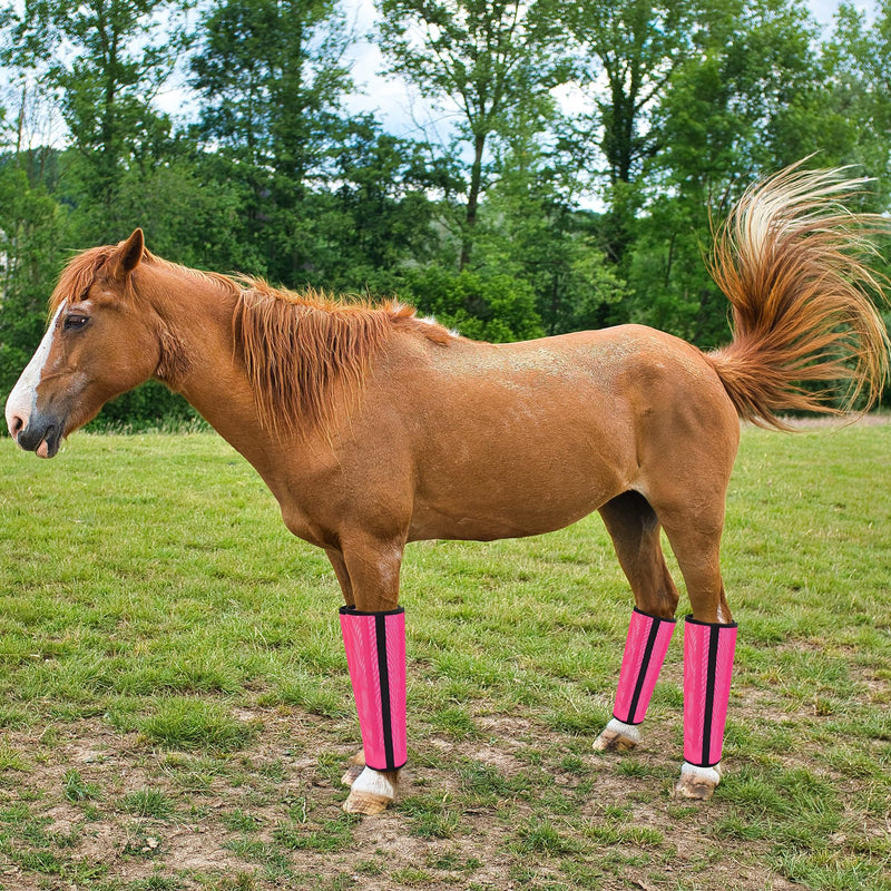 Mesh Horse Fly Boots Pink - PawsPlanet Australia