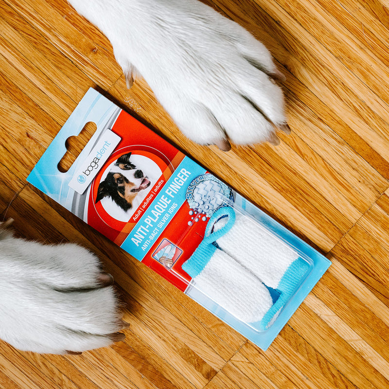 Bogadent Anti-Plaque Finger - Dog Toothbrush with Patented Silver Ion Technology, Finger Shaped Toothbrush for Dogs, Dog Teeth Cleaning Breath Dental Care, Set of 2 White 2 count (Pack of 1)