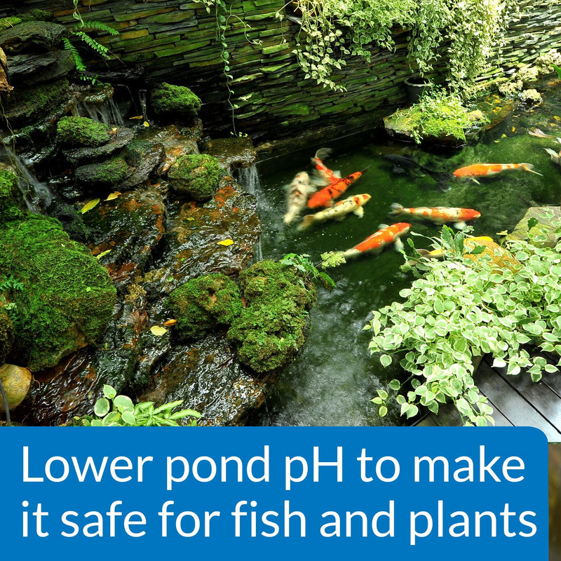 API POND pH DOWN Pond Water pH Reducing Solution 16-Ounce Bottle, White, Model:170B - PawsPlanet Australia