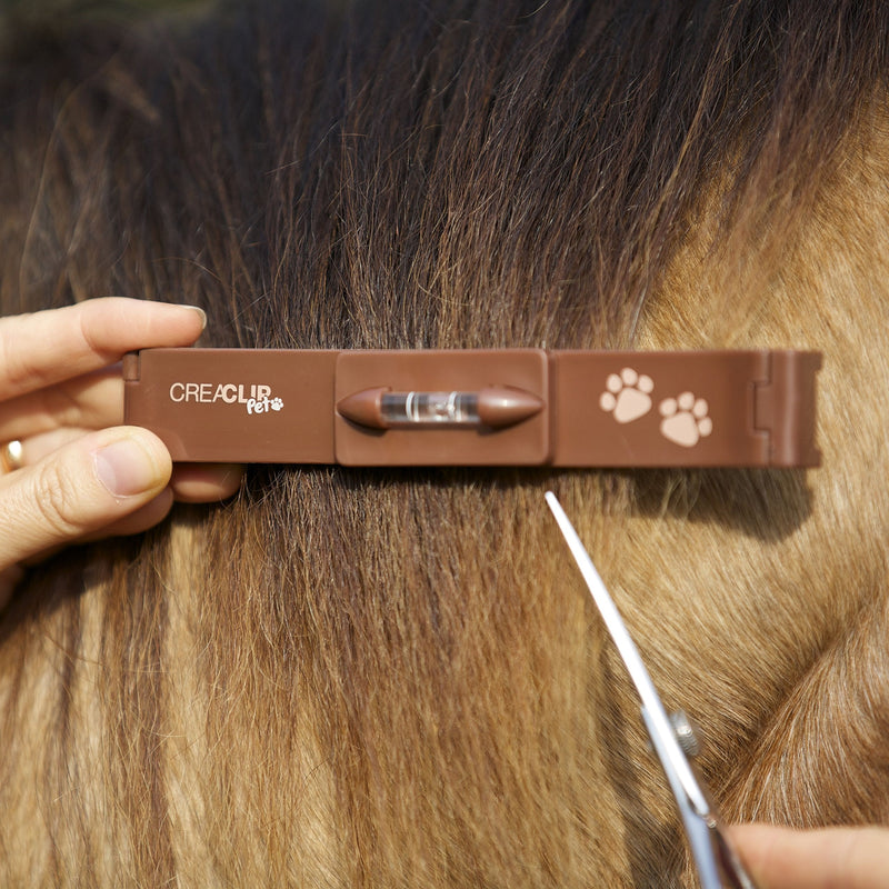 Pet - Quiet Dog Cat Horse Pet Grooming Kit - Low Noise Pet Grooming Clip Cordless for Sensitive Pets - PawsPlanet Australia