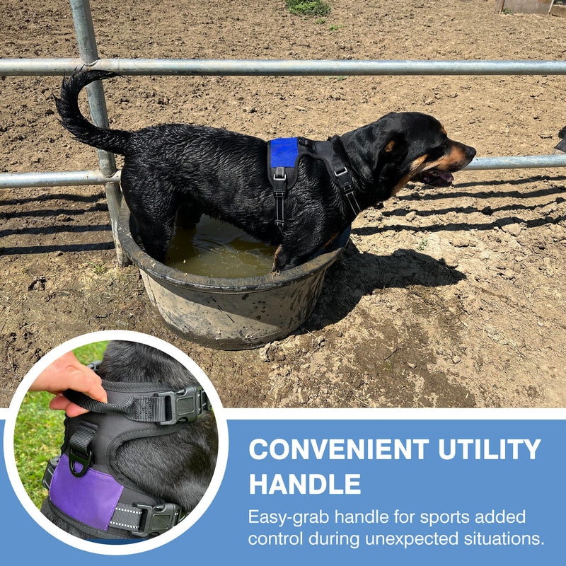 The North Star Dog Harness™ - Comfortable, Fully Adjustable, Designed to Reduce Pulling, Escape Resistant, Durable, fastens Easily and securely. (Grey, Small) - PawsPlanet Australia