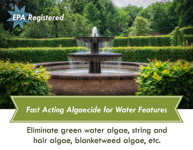 Fountain Algaecide and Clarifier - 8oz - Kills and Inhibits All Types of Algae Growth, Formulated for Small Ponds and Water Features, Treats up to 8,000 Gallons 8 Fl Oz (Pack of 1) - PawsPlanet Australia