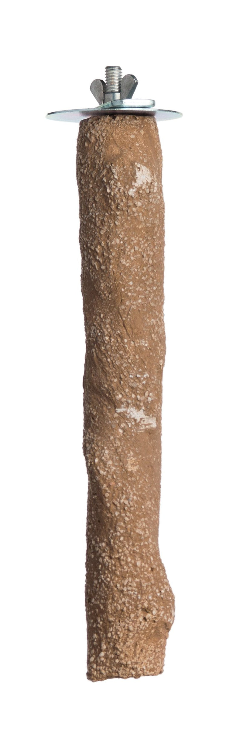 Prevue Pet Products Pacific Perch Beach Branch Medium 1011 - PawsPlanet Australia