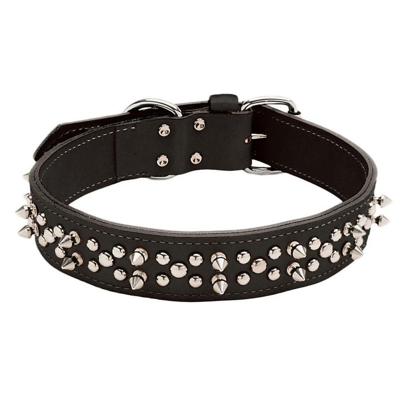Coastal Pet - Circle T Oak Tanned Leather Double-Ply Spiked Dog Collar - Black - 1 1/2” x 26” 1 1/2" x 26" (Pack of 1) - PawsPlanet Australia