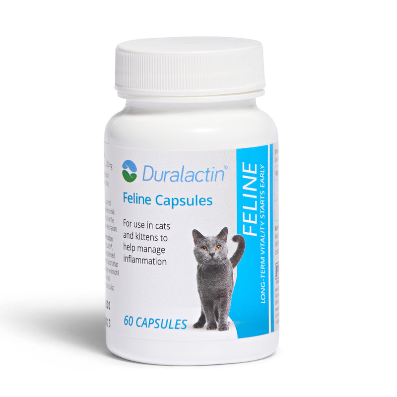 PRN Pharmacal Duralactin Feline - Joint Health Supplement for Cats & Kittens Supports Chronic Soreness, Joint Health & Overall Wellness - Gelatin Capsules Containing Dried Milk Protein - 60 Capsules - PawsPlanet Australia