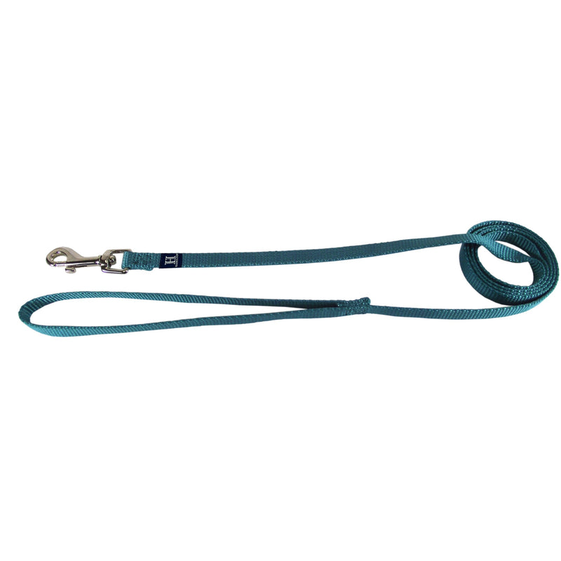 Hamilton Single Thick Deluxe Nylon Dog Leash with Swivel Snap, 5/8" by 4' Long, Teal - PawsPlanet Australia