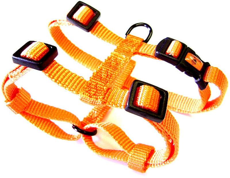 Hamilton Adjustable Comfort Nylon Dog Harness, Mango Orange, 3/8" x 10-16" - PawsPlanet Australia