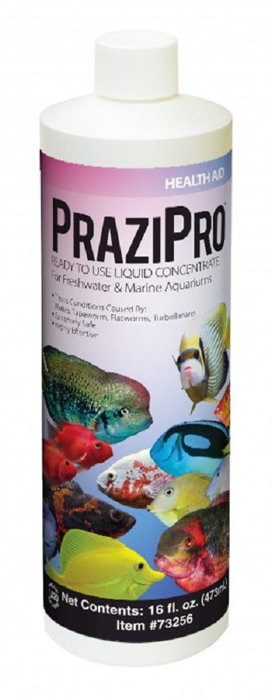 Hikari Prazipro 16oz - PawsPlanet Australia