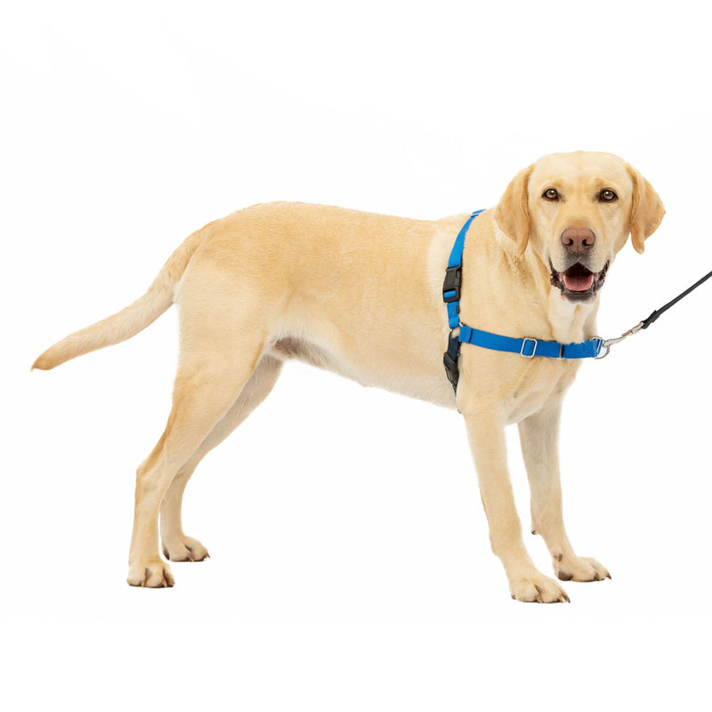 PetSafe Easy Walk No-Pull Dog Harness - The Ultimate Harness to Help Stop Pulling - Take Control & Teach Better Leash Manners - Helps Prevent Pets Pulling on Walks, Large, Royal Blue/Navy Blue - PawsPlanet Australia
