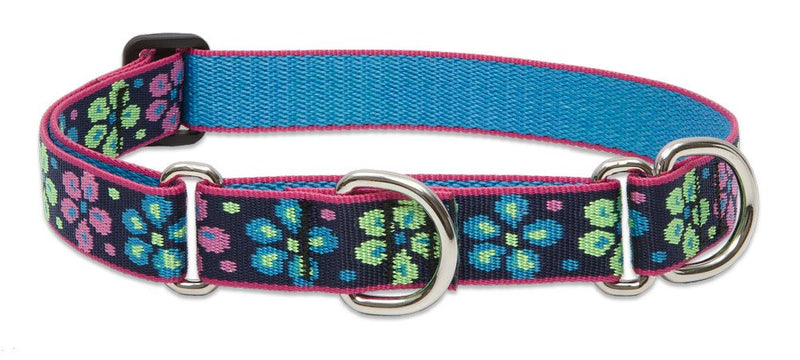 LupinePet Originals 1" Flower Power 15-22" Martingale Collar for Medium and Larger Dogs - PawsPlanet Australia