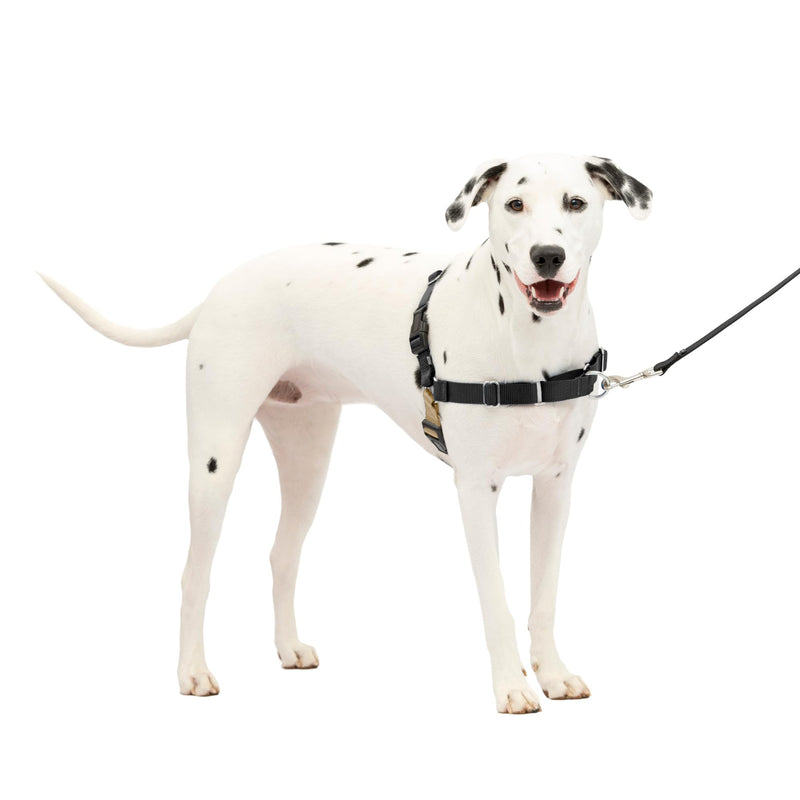 PetSafe Easy Walk No-Pull Dog Harness - The Ultimate Harness to Help Stop Pulling - Take Control & Teach Better Leash Manners - Prevent Pets Pulling Medium/Large, Black/Silver - PawsPlanet Australia