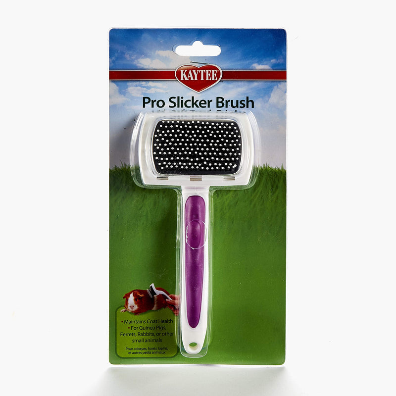 Kaytee Pro-Slicker Brush White, Large - PawsPlanet Australia