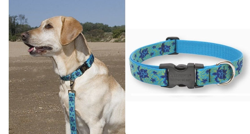 LupinePet Originals 1" Turtle Reef 12-20" Adjustable Collar for Medium and Larger Dogs 12-20 Inch (Pack of 1) - PawsPlanet Australia