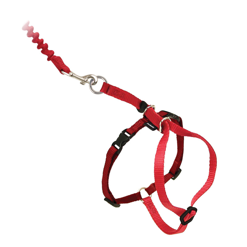 PetSafe Come with Me Kitty Cat Harness & Bungee Leash - Comfortable No-Choke Harness with Lightweight Bungee Leash for Outdoor Fun - Escape Free Pulling Prevention - Large - Red Large (Pack of 1) - PawsPlanet Australia