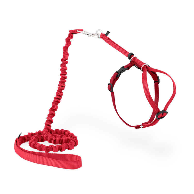 PetSafe Come With Me Kitty Harness and Bungee Leash, Medium, Red Medium (Pack of 1) - PawsPlanet Australia