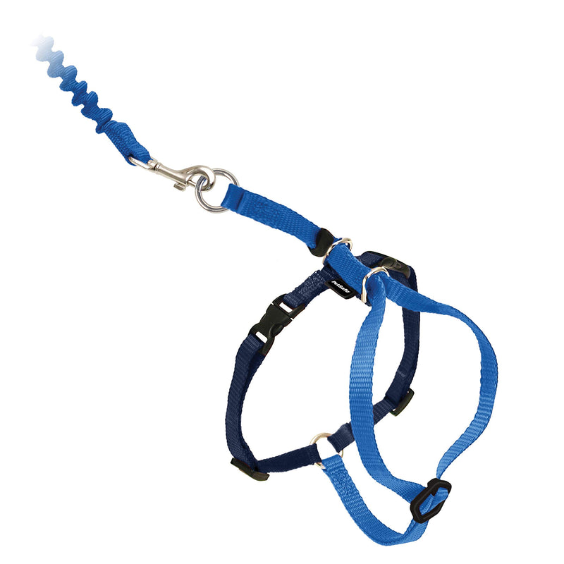 PetSafe Come with Me Kitty Harness and Bungee Leash, Harness for Cats, Large, Royal Blue/Navy, CWMK-L-RYL Large (Pack of 1) - PawsPlanet Australia