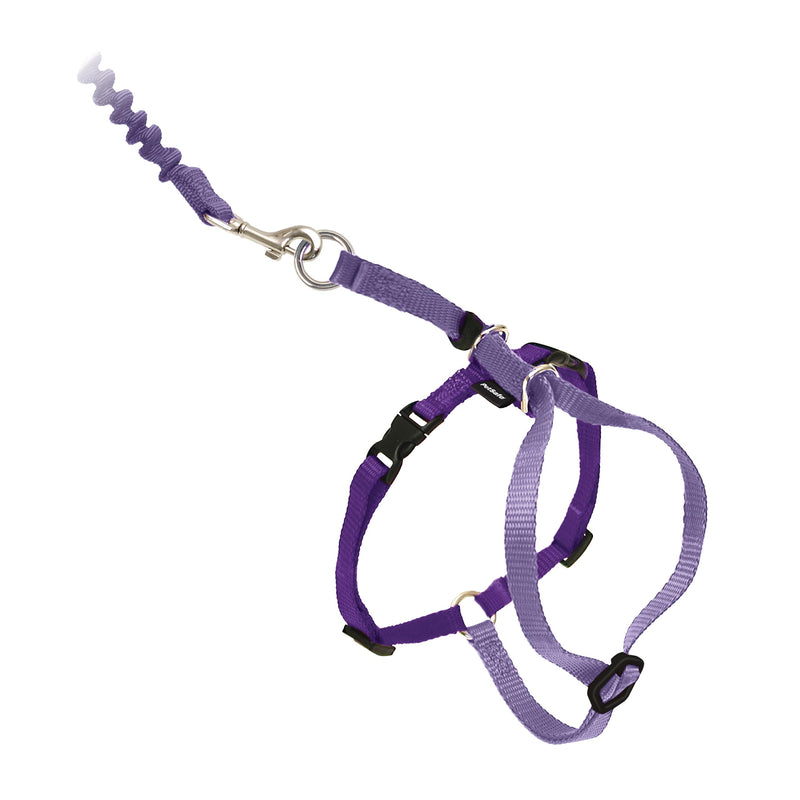 PetSafe Come with Me Kitty Cat Harness & Bungee Leash - Comfortable No-Choke Harness with Lightweight Bungee Leash for Outdoor Fun - Escape Free Pulling Prevention - Large - Lilac Large (Pack of 1) - PawsPlanet Australia