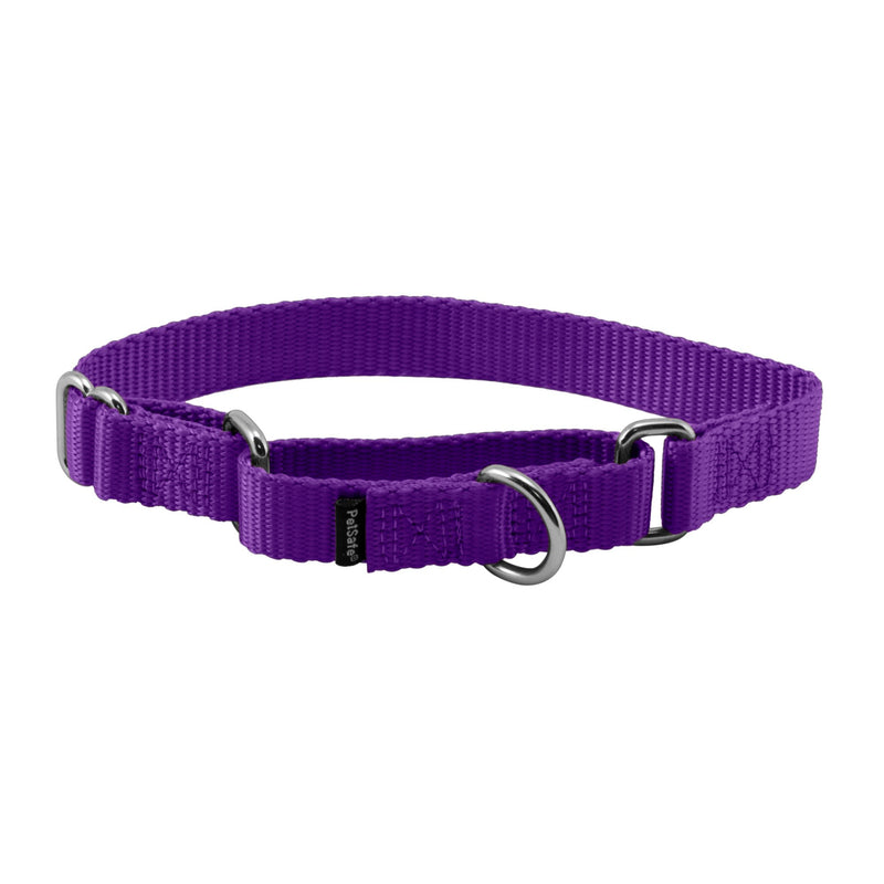 PetSafe Adjustable Martingale Collar - Only Tightens When Dogs Pull, Prevents Slipping Out - Helps with Strong Pullers, Increased Control - Alternative to Choke Collar - 3/4", Small, Deep Purple S (Neck: 8"-12", Strap Width: 0.75") - PawsPlanet Australia