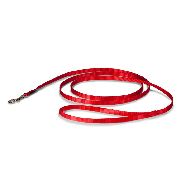 PetSafe Nylon Dog Leash – Strong, Durable, Traditional Style Leash with Easy to Use Bolt Snap for Small, Medium and Large Dogs – 3/8" x 6', Red - PawsPlanet Australia