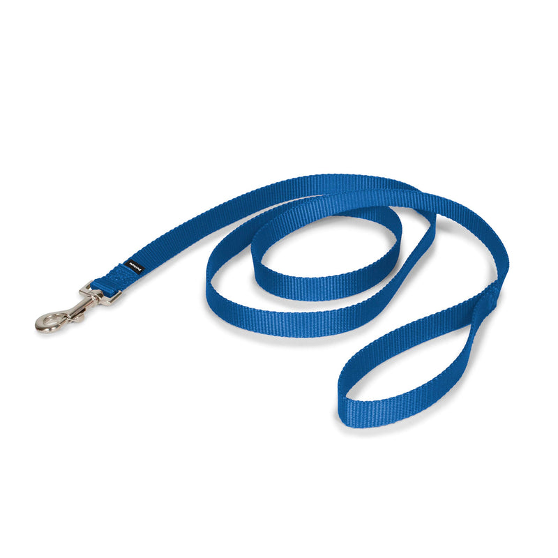PetSafe Nylon Leash - Strong Nylon for Everyday Walks - Durable Pet Leash with Quick Attach Clip - Comfortable Soft Grip - 6 Feet - Royal Blue - PawsPlanet Australia