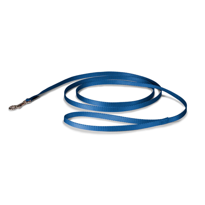 PetSafe Nylon Leash - Strong Dog Leash for Everyday Use - Secure & Simple Design for Reliable Control - Lightweight with Durable Hardware - 3/8 Inch - 6 Feet - Blue - PawsPlanet Australia