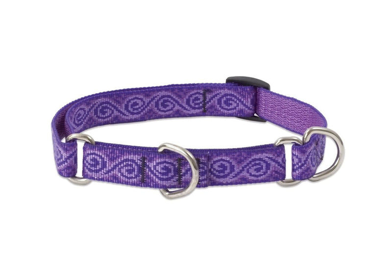 LupinePet Originals 3/4" Jelly Roll 10-14" Martingale Collar for Small Dogs 3/4" by 10"-14" Combo Collar - PawsPlanet Australia