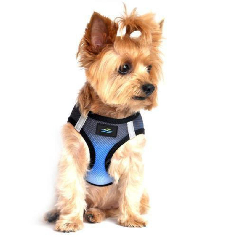 American River Dog Harness Ombre Collection - Midnight Sky Small - PawsPlanet Australia