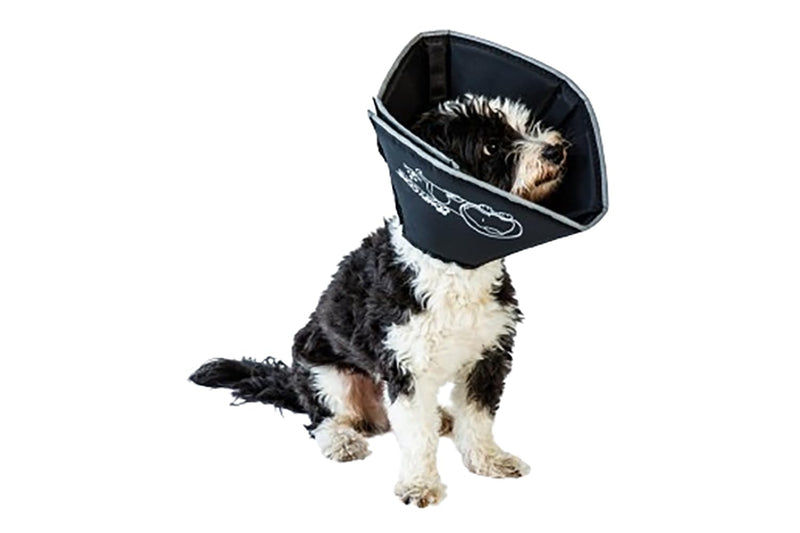 All Four Paws Comfy Cone Pet Cone for Dogs, Cats, Medium, Black - Comfortable Soft Dog Cone Collar Alternative for After Surgery, Wound Care, Spay, Neuter - Dog and Cat Recovery Elizabethan-Collar M(Neck to Nose 8")