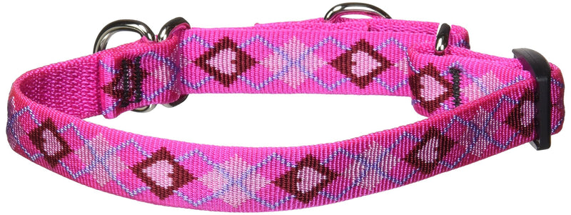 LupinePet Originals 3/4" Puppy Love 10-14" Martingale Collar for Small Dogs 3/4"W; 10-14" Neck - PawsPlanet Australia