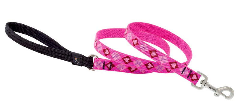 LupinePet Originals 3/4" Puppy Love 6-Foot Padded Handle Leash for Medium and Larger Dogs Medium (Pack of 1) - PawsPlanet Australia