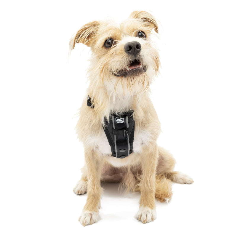 Kurgo Dog Harness | Pet Walking Harness | Small | Black | No Pull Harness Front Clip Feature for Training Included | Car Seat Belt | Tru-Fit Quick Release Style Small (Pack of 1) - PawsPlanet Australia