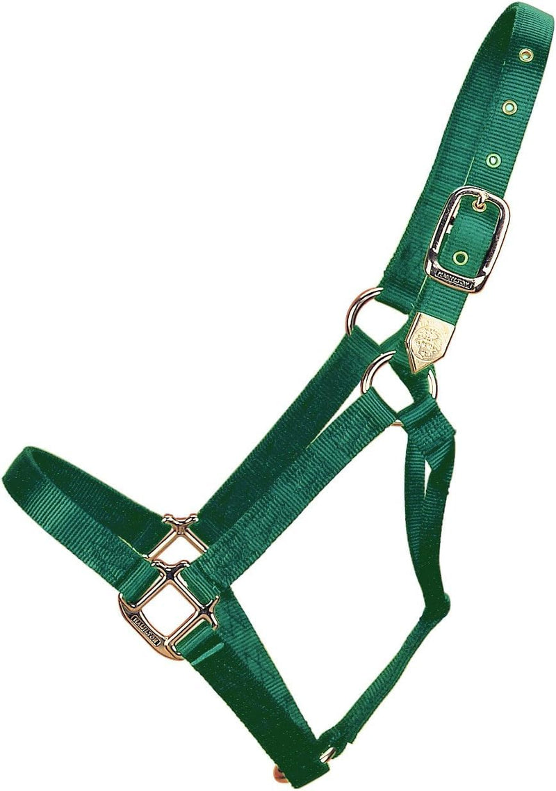Hamilton Deluxe Horse Halter, 1" Triple Ply Nylon, Yearling or Standard Donkey, 300-500 lbs, Dark Green Yearling, 300-500lbs - PawsPlanet Australia