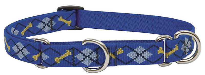 LupinePet Originals 3/4" Dapper Dog 14-20" Martingale Collar for Medium and Larger Dogs 3/4"W; 14-20" Neck - PawsPlanet Australia