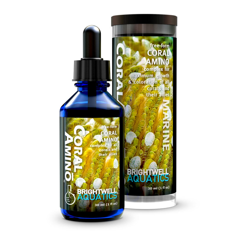 Brightwell Aquatics CoralAmino - Complex of Amino Acids for Corals - Coral food for Aquarium Coral Growth - Saltwater Aquarium Treatments, 1.01 fl oz 30-ML