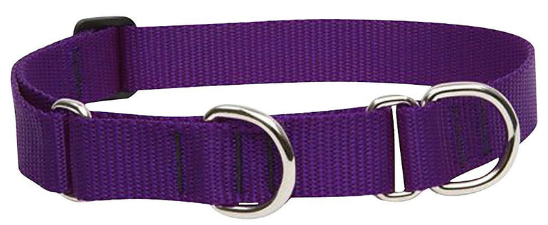LupinePet Basics 1" Purple 15-22" Martingale Collar for Medium and Larger Dogs 1"W; 15-22" Neck - PawsPlanet Australia
