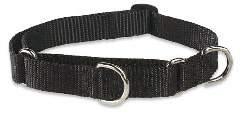LupinePet Basics 3/4" Black 14-20" Martingale Collar for Medium and Larger Dogs 3/4"W; 14-20"Neck - PawsPlanet Australia
