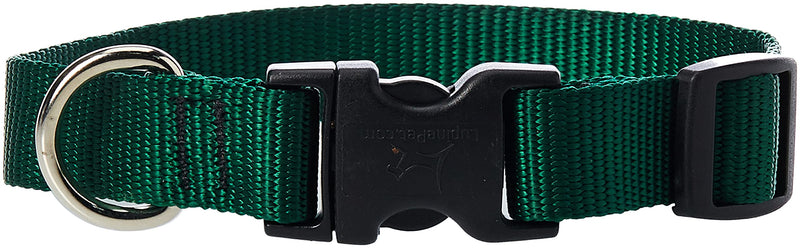 LupinePet Basics 3/4" Green 9-14" Adjustable Collar for Small Dogs 3/4"W; 9-14" Neck